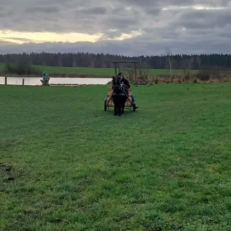 Nr 1 * Gosciszewo