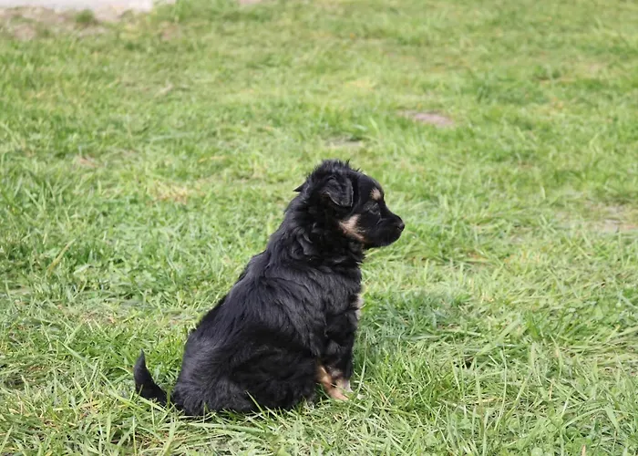 Nr 1 Дом отдыха *