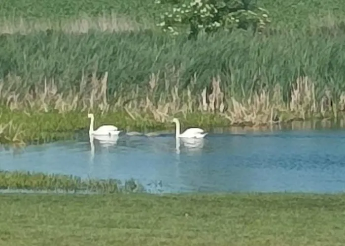 Дом отдыха Nr 1